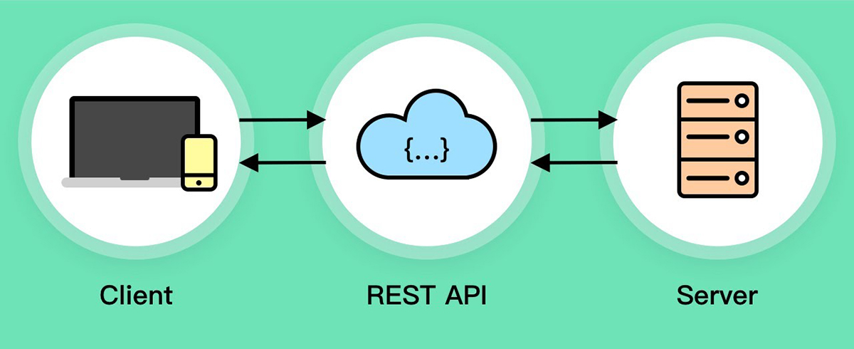 Do You Know What a Rest API is?